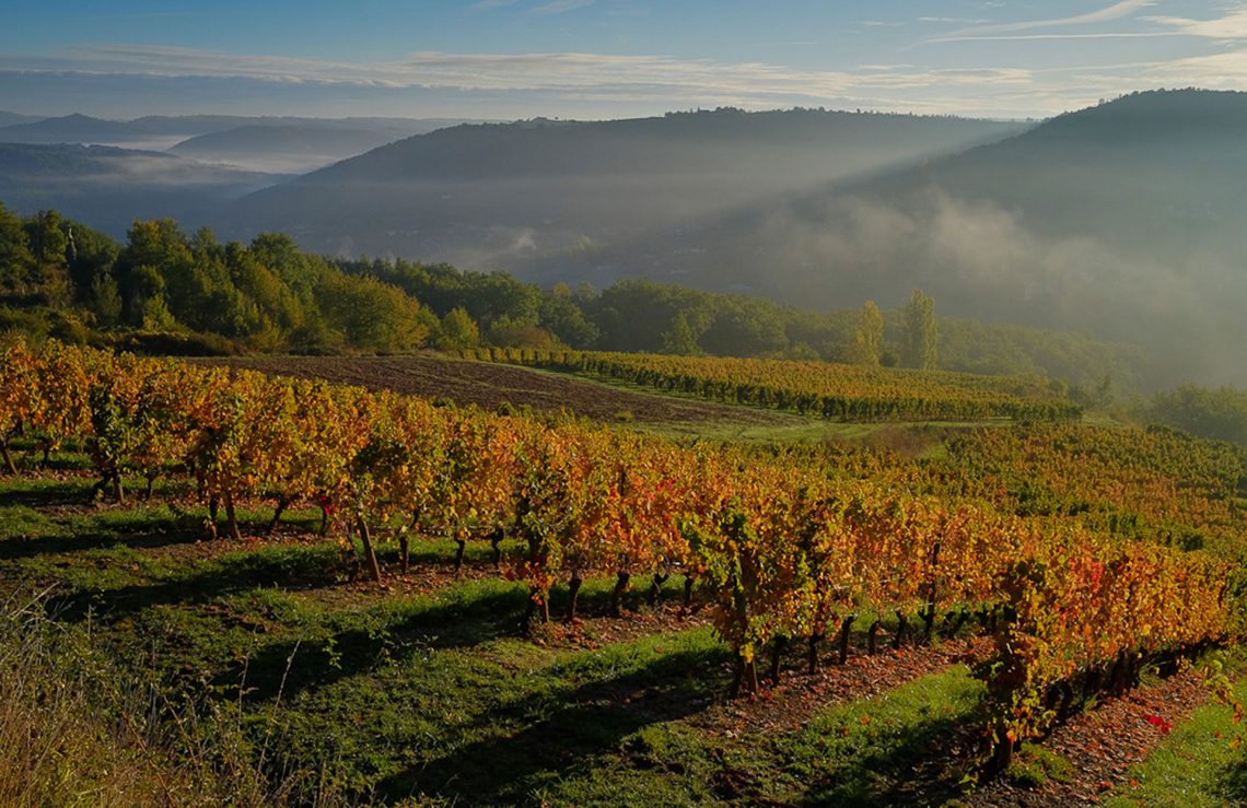 Vue des vignes au petit matin - vignobles de Marcillac Vallon